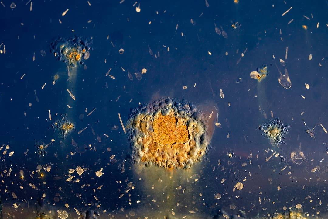 Metal Chrome Restoration | Signs To Spot | Chrome Care Tips